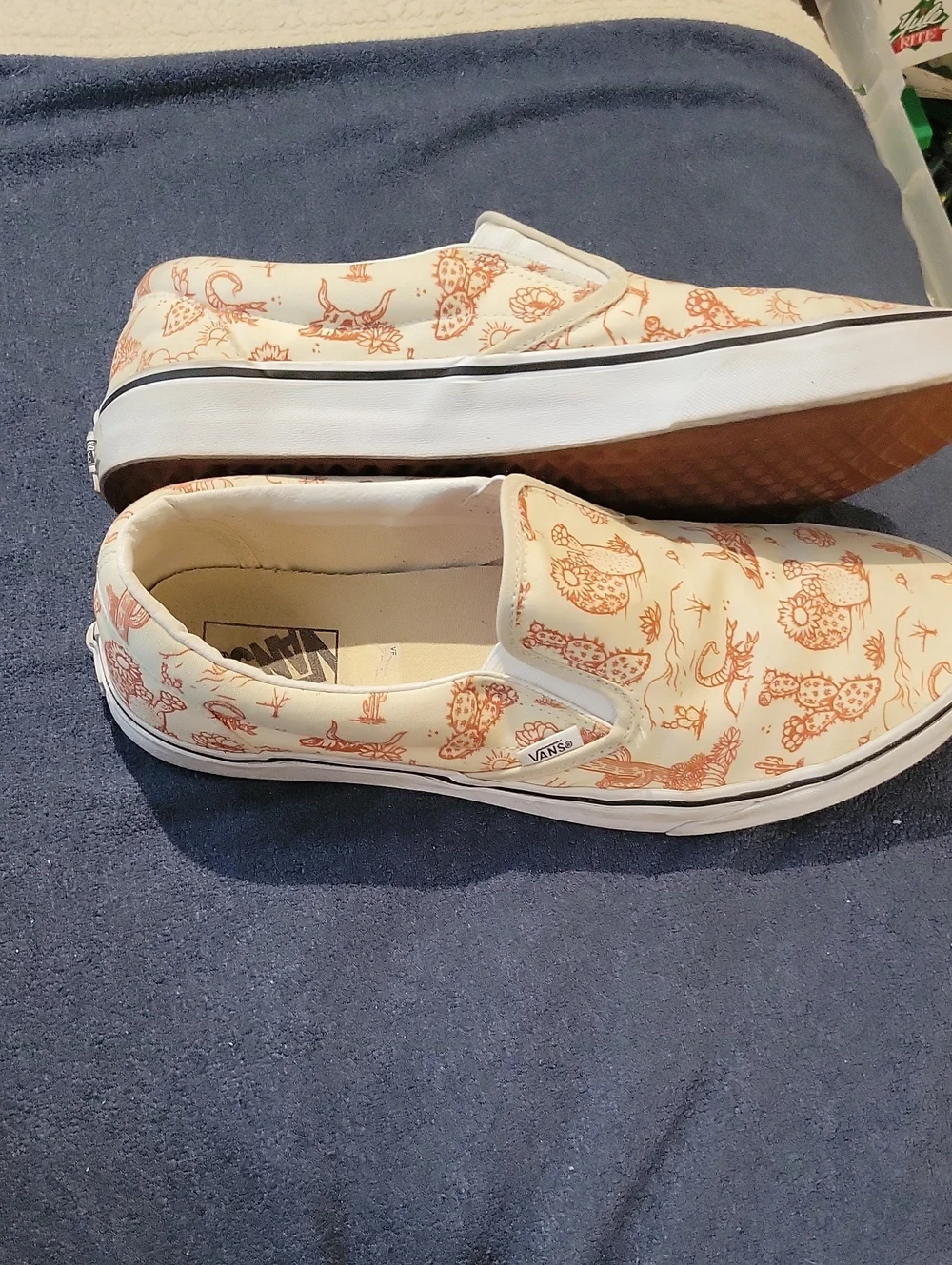 Vans Desert Vibes Slipon Sneakers Mens 13